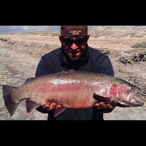 Meet your Posher, Dusty